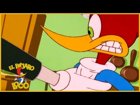 El Pajaro Loco