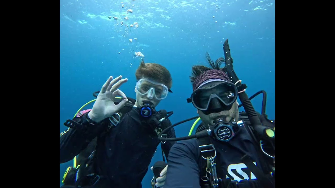 Swimming with Goliaths