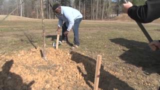Town of Clayton Arbor Day 2014