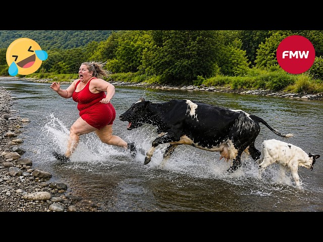 Try Not To Laugh 🤣 Top 100 Funniest Videos Ever 😂  Funny Videos Compilation 2026 #204