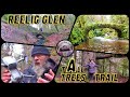 Reelig Glen (Fairy Glen) / Vanlife