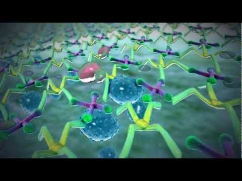 Dry Eye. Систейн Баланс, Systane®Balance