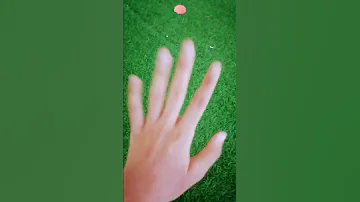 اغنية شرق و غرب 