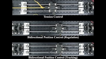 [T-MECH] Advanced Control of Twisted String Actuators: Modeling, Tension, and Stiffness Strategies