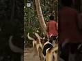#funny edit videos