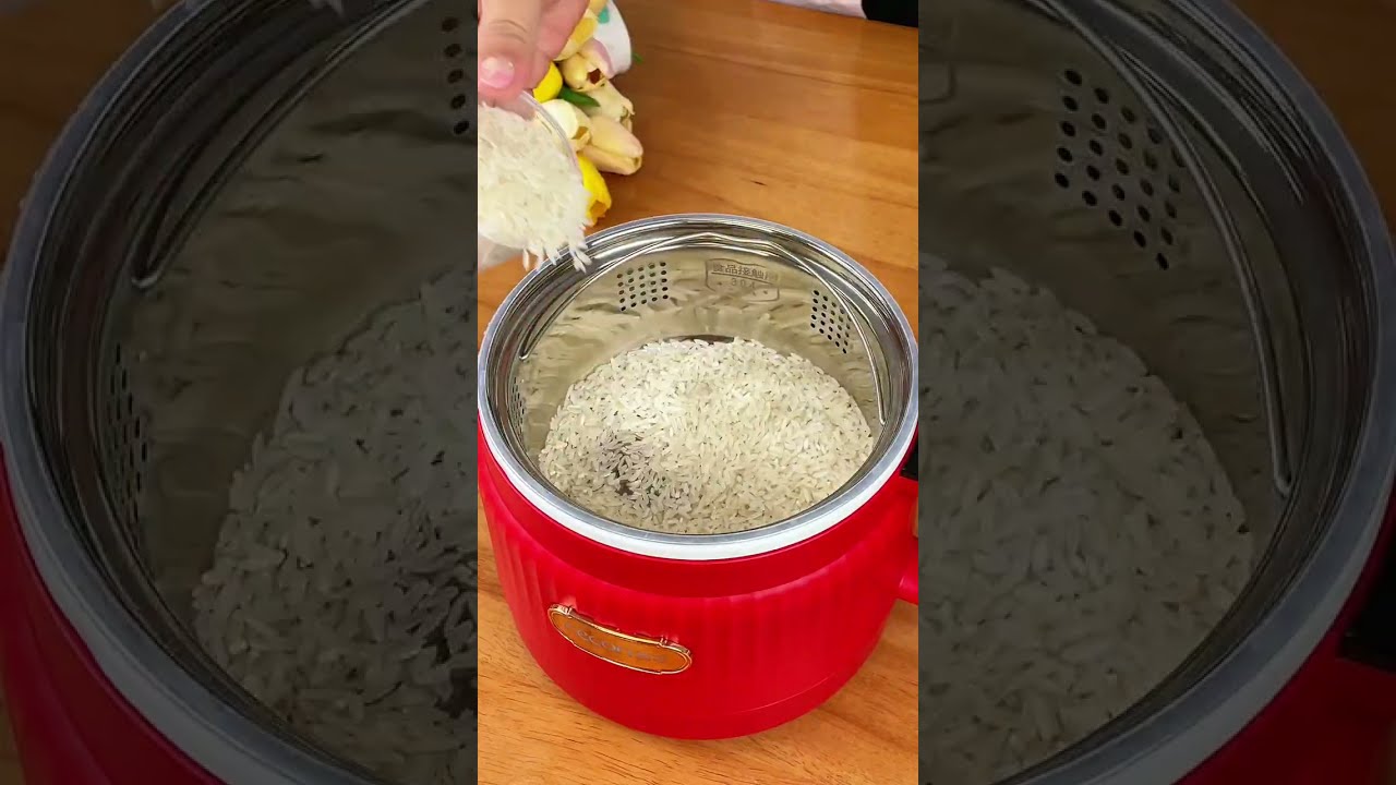You Say It Is A Rice Cooker But Actually Multifunctional Electric With Handle