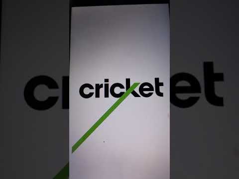 Cricket Wireless startup