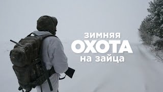 Охота на зайца. 7 часов за 5 минут