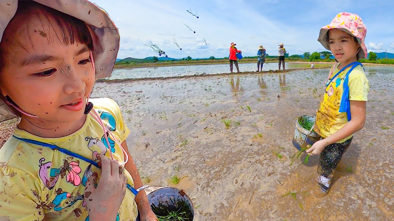 หนูยิ้มหนูแย้มเป็นชาวนา โยนข้าวลุยโคลน YimYam Pretend Play with farmer