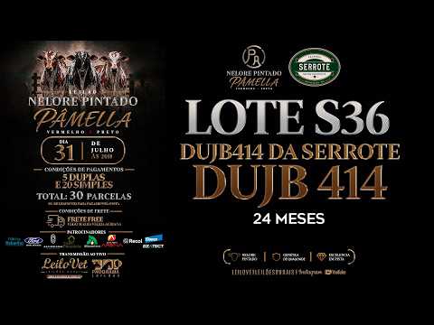 LOTE S36 DUJB 414