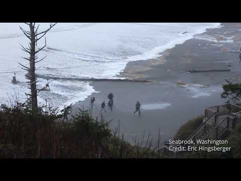 Video: Humboldt County Plajları: Eksiksiz Kılavuz