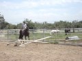 6 year old girl jumping 15hh horse