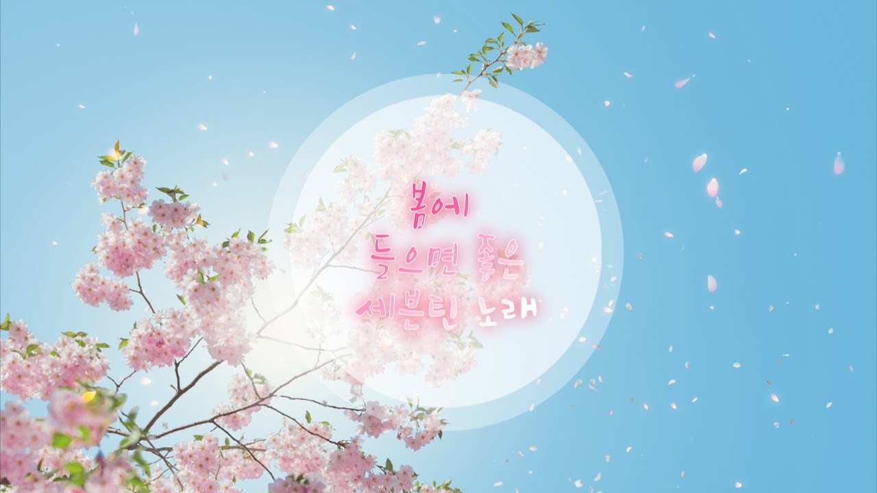 [세븐틴] 봄에 들으면 좋은 세븐틴 노래 모음♪