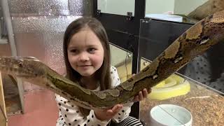 Reticulated Python Handling Session with my daughter at 8 years old