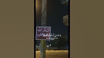 وعسى أن تكرهوا شيئا وهو خير لكم 🌾راحة نفسية تلاوة خاشعة حالات واتس اب قرآن كريم