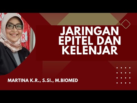 Video: Mengapa disebut kelenjar merokrin?