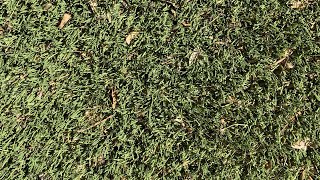 SL Co. mayor seeks to convert athletic fields to artificial turf, remove grassy park strips