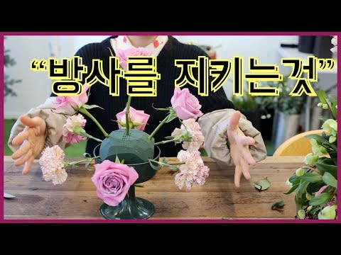 과일바구니