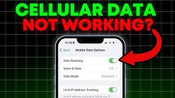 How to QUICKLY Fix Cellular Data Not Working on iPhone After iOS 18 Update