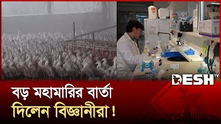 করনর চযও ভযবহ মহমর ডক আনব বরড ফল Bird Flu Desh Tv