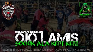 Dj bantengan (OJO LAMIS) suro margo joyo from @ADINREVOLUTIONrimex 
