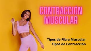 Contracción Muscular: Tipos de fibras y tipos de contracción