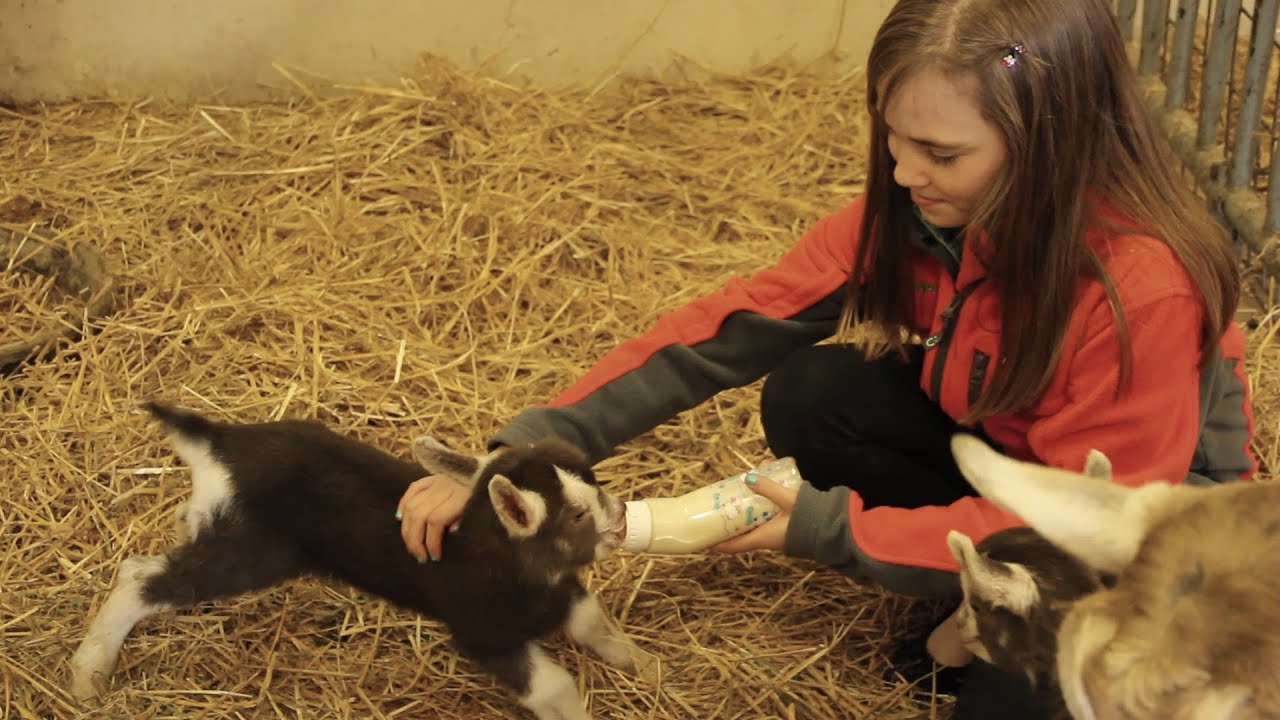 Spring Fun In Oakland County