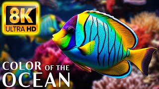 Colors Of The Ocean 8K Video ULTRA HD  The best sea animals for relaxing and soothing music #14