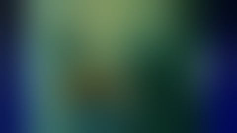 Hexapod fixator application