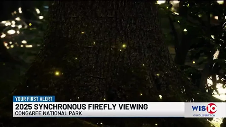 Congaree National Park announces dates for 2025 synchronous firefly viewing