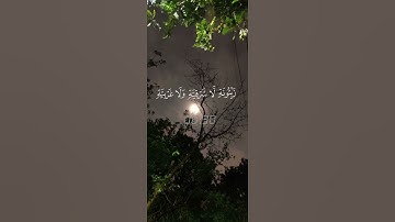 قران كريم ماهر المعيقلي  #قران #اكسبلور #ماهر_المعيقلي