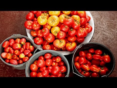 Вопрос: Как подкормить овощные культуры йодом?
