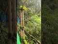 Indahnya indonesiaku #indahnyaindonesiaku #alamindonesia #fypシ゚viral #fyp #naturelovers