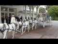 Disney Wedding: Cinderella Horse Drawn Carriage