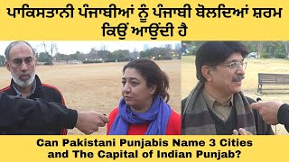 Why Pakistani Punjabis Don't Speak Punjabi | How Well Pakistani Punjabis Know Indian Punjab?