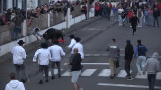 Tourada à corda in Fontinhas, 1 May 2025