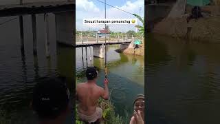 #mancing #mancingmania #fishing sesuai harapan pemancing #mancingmania #mancingikan