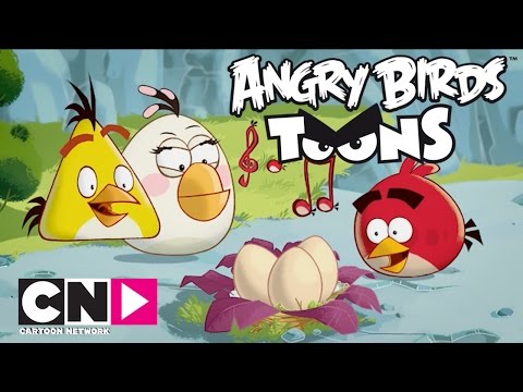 Angry Birds | Yumurta Sesi | Cartoon Network Türkiye