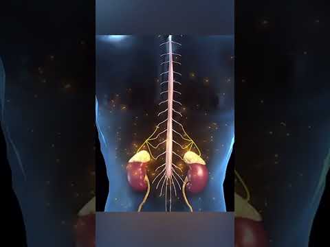 زیست شناسی یک لبخند 