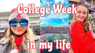 College Week in my Life | gamedays, football, ferrets by Sophia Juliet 269 views 2 years ago 11 minutes, 15 seconds