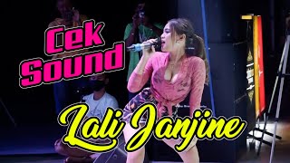 Lali Janjine Spesial cek sound. #ceksound #lalijanjine #glerr