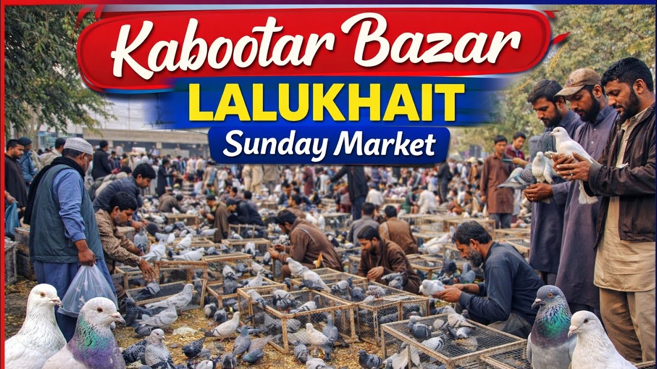 Lalukhait Sunday Market | Kabootar Ka Shouq | Karachi Famous Bazar