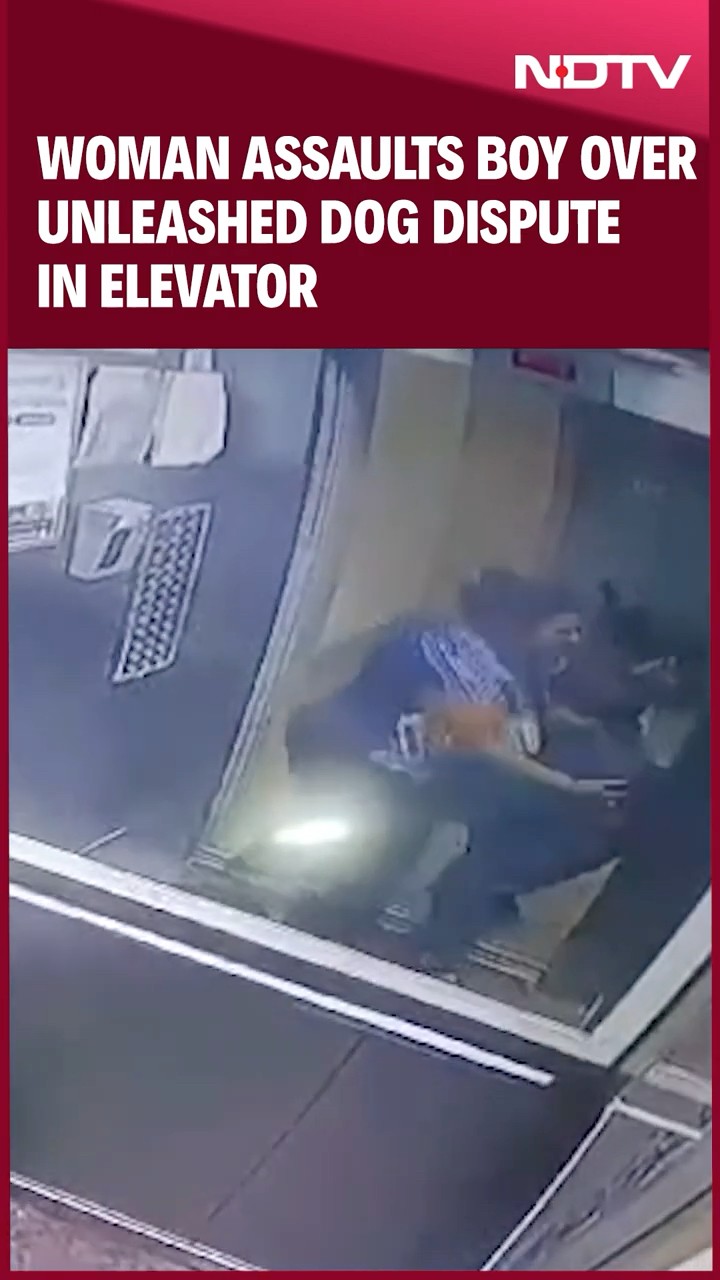 Noida News | Boy Asks Woman Not To Bring Unleashed Dog Inside Lift. Then This Happens