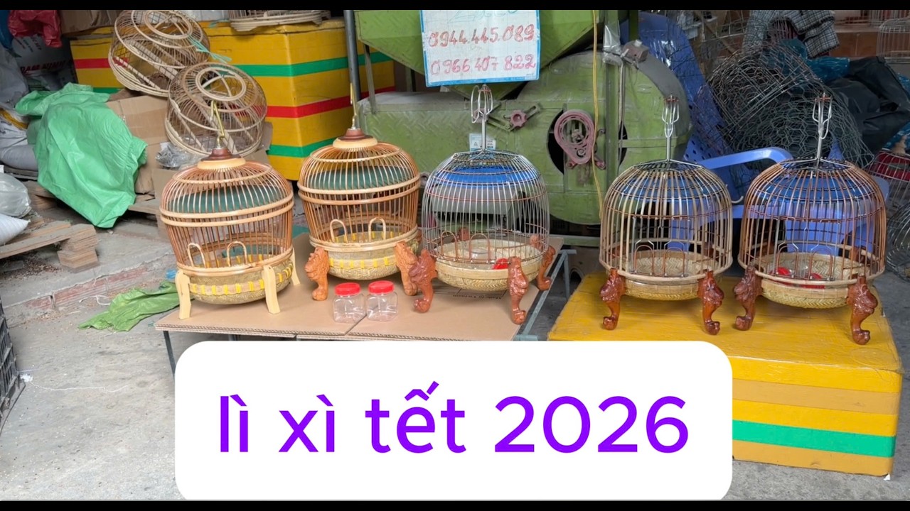 LÌ XÌ KHI MUA LỒNG ĐA ĐA