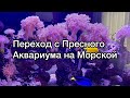 Морской Аквариум | Переход с Пресного Аквариума на Морской | Морские Кораллы | Морские рыбки .