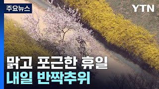 [날씨] 완연한 봄기운...서울 벚꽃도 '기지개' / …