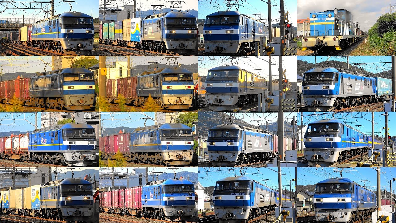 貨物列車の重厚ジョイント音‼ 2025,11,20 貨物列車いろいろいっぱい23本 踏切に響く大迫力モーター音とジョイント音‼ 汽笛‼ 三河三谷駅を力走する貨物列車と電車たち EF210-901登場‼