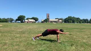 Tripod Plank Alternating Arm Raises