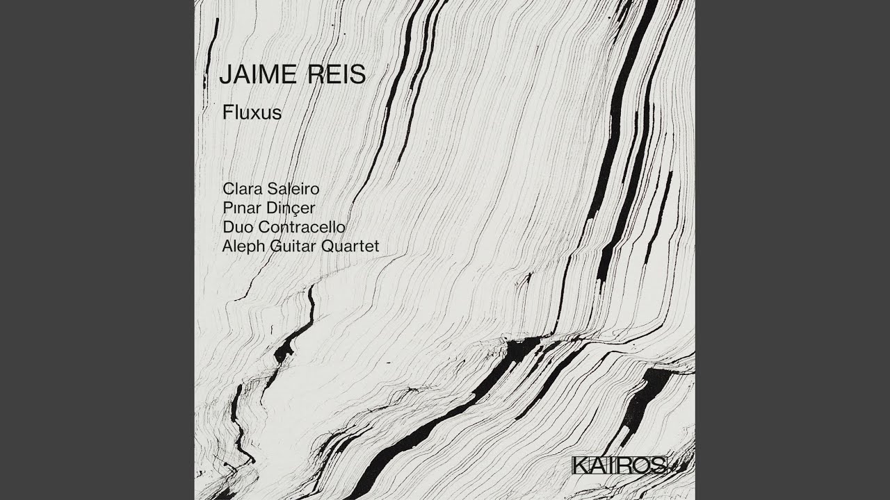 Fluxus, Dimensionless Sound (B) (2012-17) for flute and Electronics