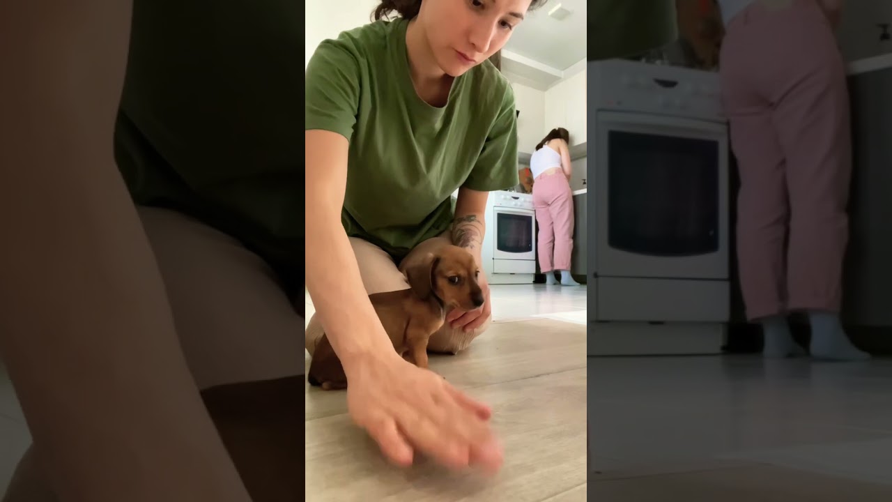 Генри съел камеру 😋😢 